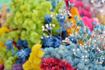 Dried flowers bouquet close up blurry background - 206457236