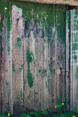 Vintage wood background with peeling grunge paint.