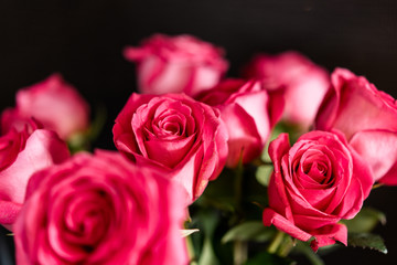 Red roses on black background