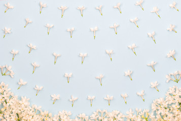 Lilac Flowers Pattern