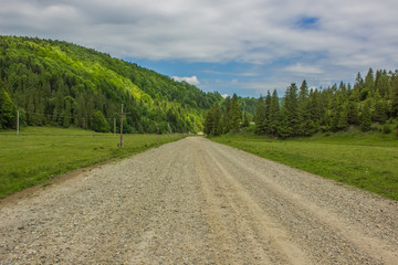 Fototapeta na wymiar village road between green nature forest mountain landscape 