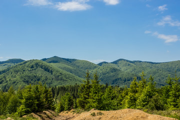 Naklejka premium nature green forest mountain valley landscape