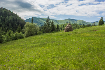 a stack of hay in village environment