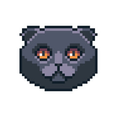 Fototapeta premium Pixel art vector Scottish fold cat icon isolated on white background.