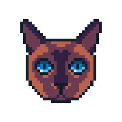 Pixel art vector Siamese cat icon isolated on white background.