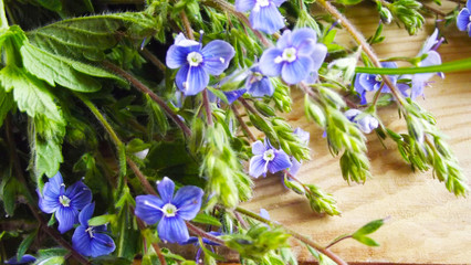 Bouquet of forget-me-not on a wooden background.