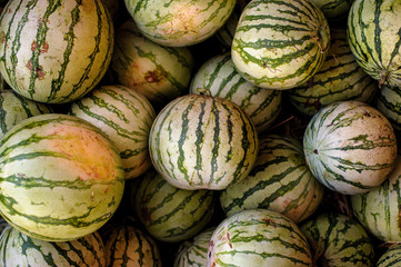 Fototapeta na wymiar Many watermelons top view