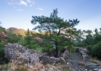 Fototapeta na wymiar Ruins in Chimera near Cirali (Turkey)