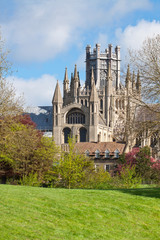 Ely cathedral  in sunny spring day