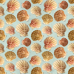 Seamless pattern with watercolor illustrations of shells