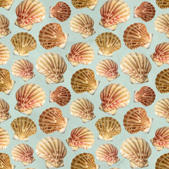 Seamless pattern with watercolor illustrations of shells