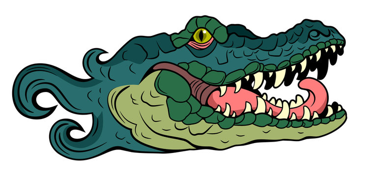 Portrait of the Alligator (crocodile)