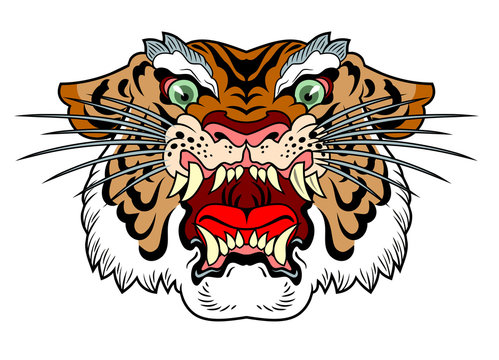 the head of a wicked tiger