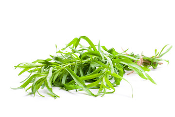 Bunch  of tarragon plant isolated on white