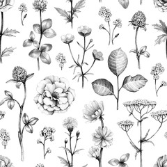 Wild flowers drawings. Seamless pattern