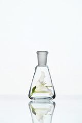 Laboratory. Transparent Glass With Flower
