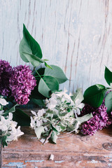 Blooming lilac on a wooden old background