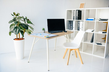 interior of modern office room with potted plants, chair, table, infographics, computer and shelves