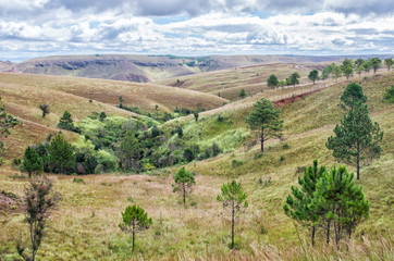 Fototapeta na wymiar Madagascar - Panorama of Central High Plateau, Eastern Africa