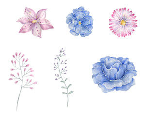 Blue flower watercolor drawing illustration geometric illustration painting watercolour floral aquarelle pink spring summer floral garden clip art for greeting birthday weeding on white background