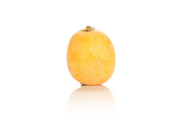 One fresh orange Japanese loquat isolated on white background.