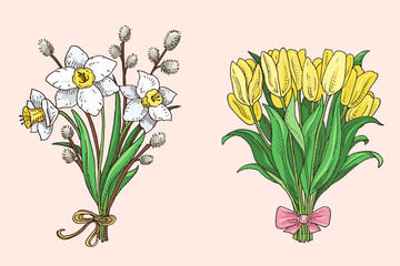 Set of hand drawn spring bouquets yellow tulip, narcissus, willow branches. Beautiful flowers doodle illustration