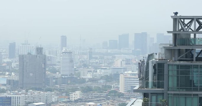 Lone Worker On Top Of A Tall Building In The City