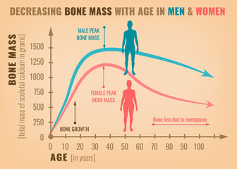 Decreasing bone mass 