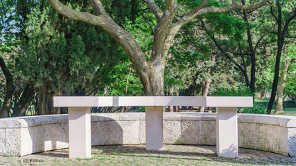 white stone bench in a summer park