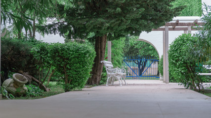 white bench in a summer park