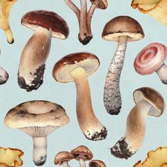 Watercolor illustrations of mushrooms. Seamless pattern
