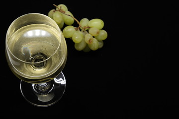 ワイン　白　ブドウ