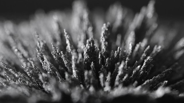 Iron powder under the influence of a magnetic field. Abstract background.
