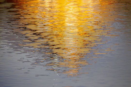 Germany, yellow water reflection