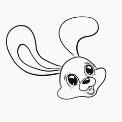 Funny little cheerful hare, head