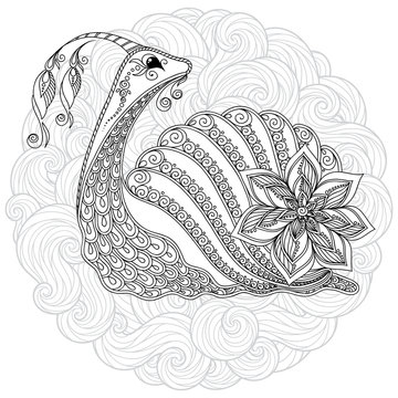 Illustration of a snail.