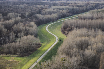 Curved road lined with green grass in the middle of autumn forest aerial from top