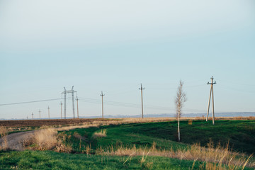 Atmospheric landscape with power lines in green field with road and tree under blue sky. Background image of electric pillars with copy space. Wires of high voltage above ground. Electricity industry.