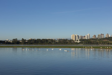 Naklejka premium Barigui Park in Curitiba.