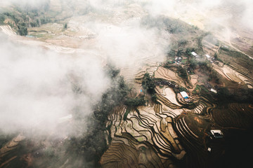 Rice terraces from the clouds