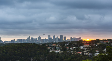 Sydney city during sunset