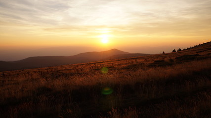 A sunny mountain landscape