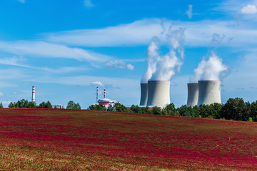 Fototapeta na wymiar Nuclear power plant Temelin and clover field in Czech Republic. Europe.