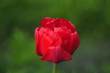 Obraz premium небо