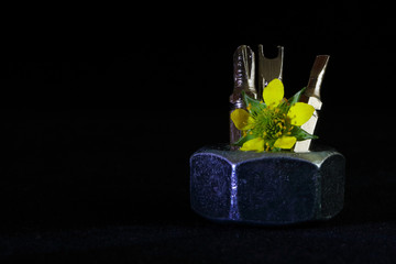 The image of special nozzles for a screwdriver and a yellow flower.