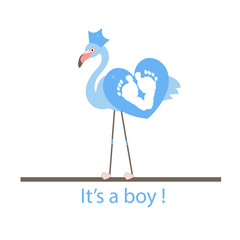 Flamingo baby shower. Baby boy
