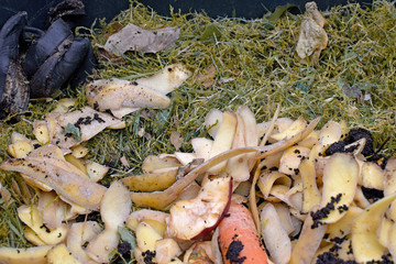 View into a bio container  with various organic wastes such as potato peels, carrots, apple and...