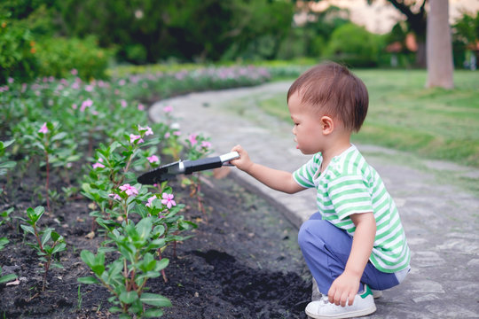 Cute little Asian 18 months / 1 year old toddler baby boy child planting young tree on black soil in the green garden at sunset, Save the world and environment concept.