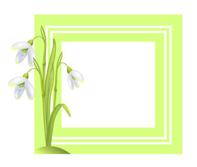 Greeting Card with Framing Snowdrop Galanthus Bell