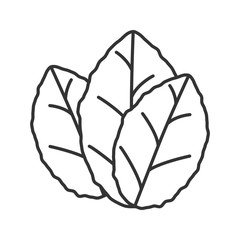 Tobacco leaves linear icon